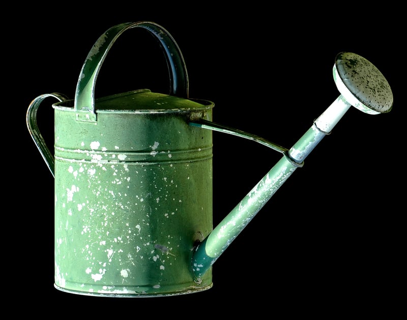 Watering Can Planter